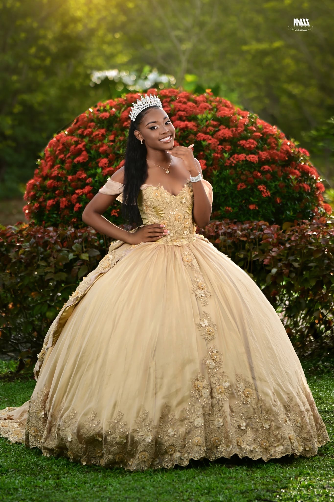 Sofía Vestido Dorado Imperial con Tiara